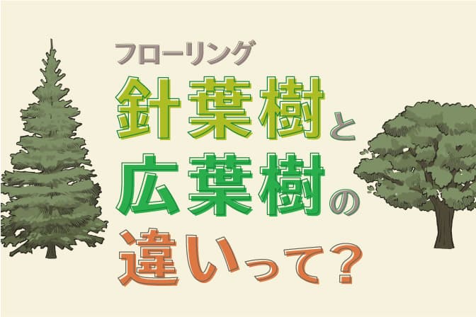 針葉樹と広葉樹の違いって？ - プレイリーホームズのコラム