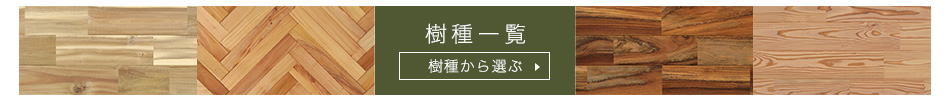 無垢フローリングを木の種類から選ぶ