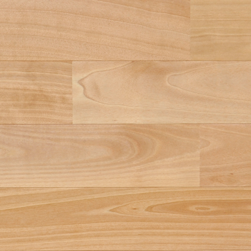 acafbff233ea160691871184facc7f