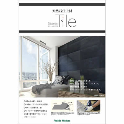 【Taishi】ボタン12個、タイル3つ Taishi】ボタン12個、タイル3つ Taishi】ボタン12個、タイル3つ ラッシュ |